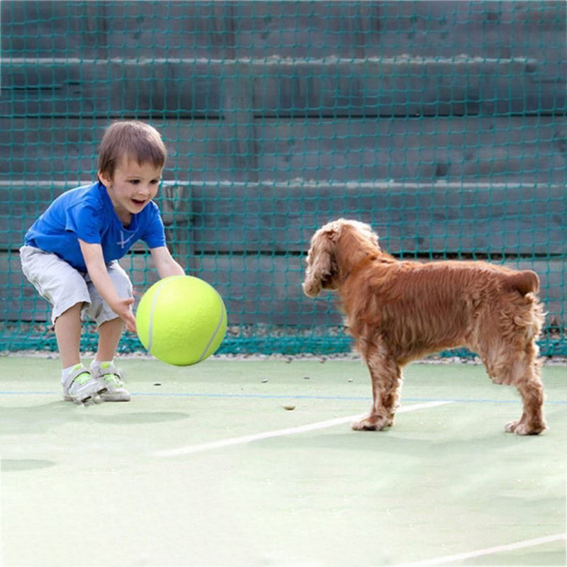 Tênis Ball - A gigante bola para cães