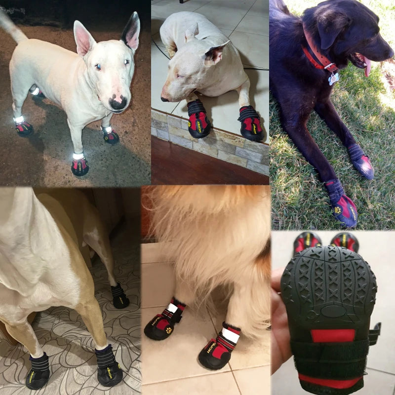 Sapato Antiderrapante para Cachorro Á Prova D´Água - Pet Shoes